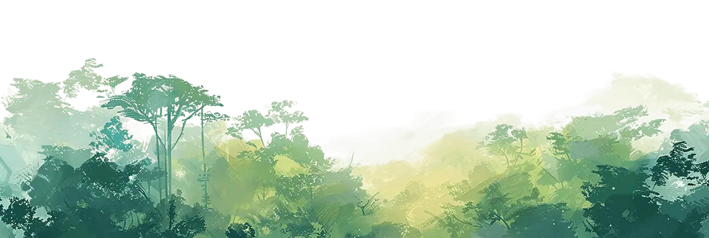 illustration de la forêt amazonienne