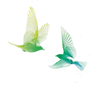 Deux oiseaux qui volent