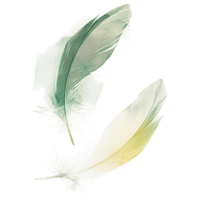 plumes flottant dans les airs